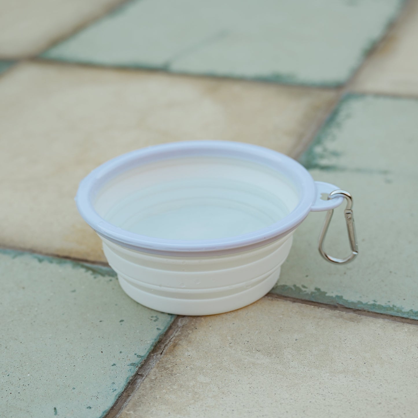 Pup Collapsible Water Bowl